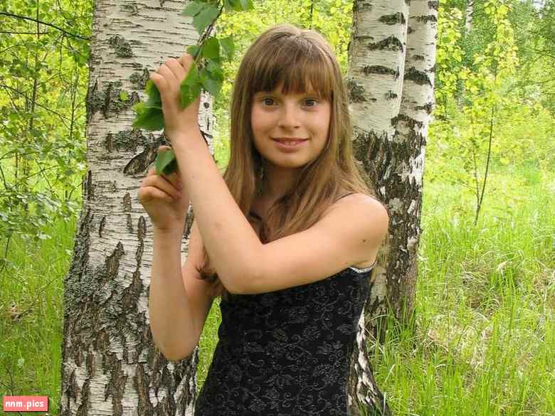 Agency Modeling – Alice Model (82 sets)