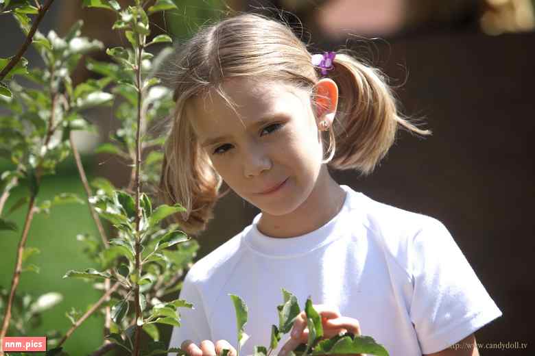 Candydoll – Elona V. (sets and vids 01-13, VIP sets and vids 01-02)