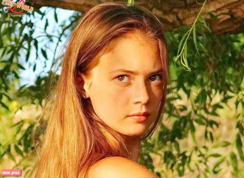 Dream Studio – Foxy World (sets 01-153)