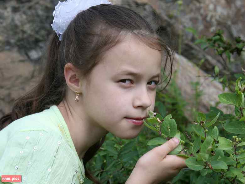 FReastern – Sage Model (special sets 01-32)