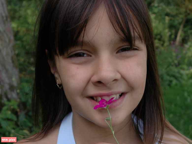 Newstar – Bambi Model I, II, III (sets 01-361)