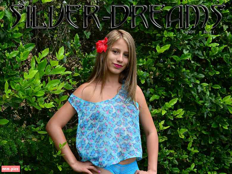 Silver Dreams - Candy  (52 Sets)