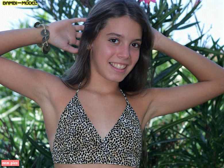 *WebeWeb – Bambi Model (sets 01-143)