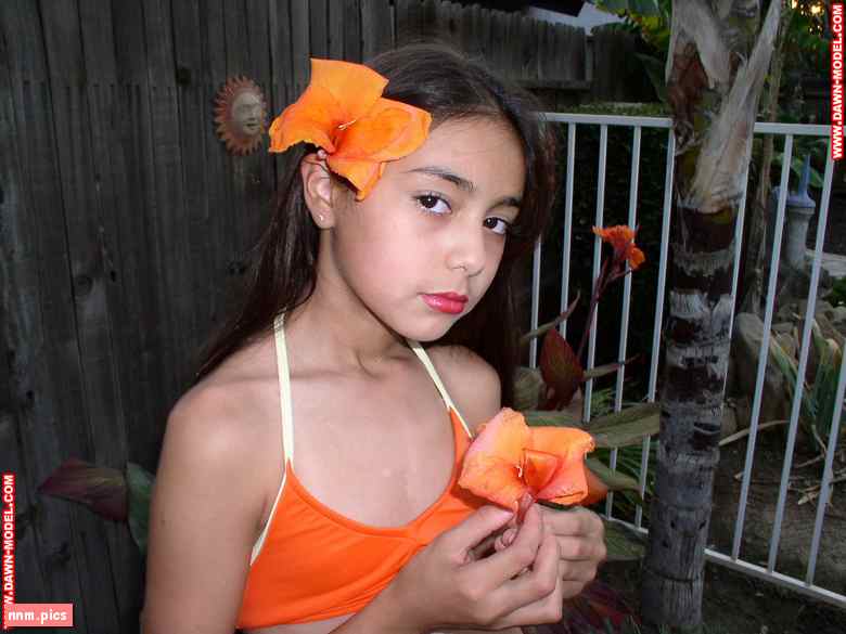 WebeWeb – Dawn Model (21 sets)