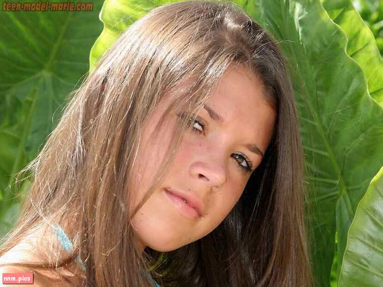 WebeWeb – Marie Model (20 sets)