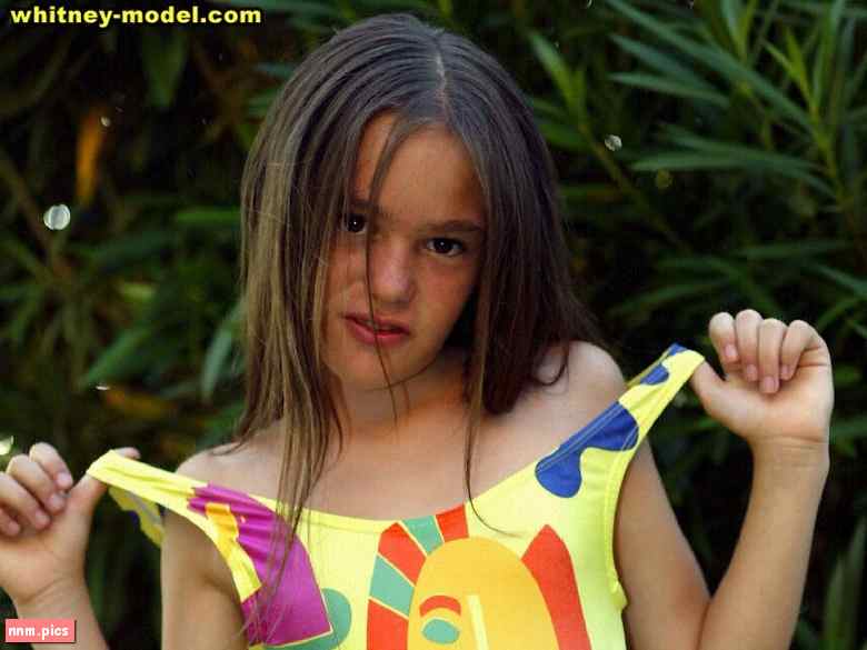 WebeWeb – Whitney Model (128 sets)