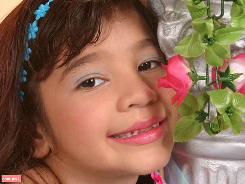 Willey Studios – Crystal Model (sets 01-39)